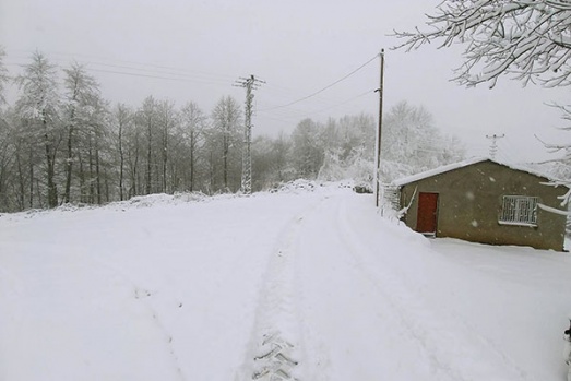 Samsun'da kar yağışı etkili oluyor