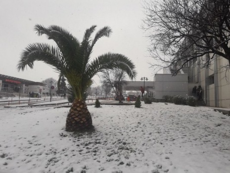 Samsun'dan kar fotoğrafları