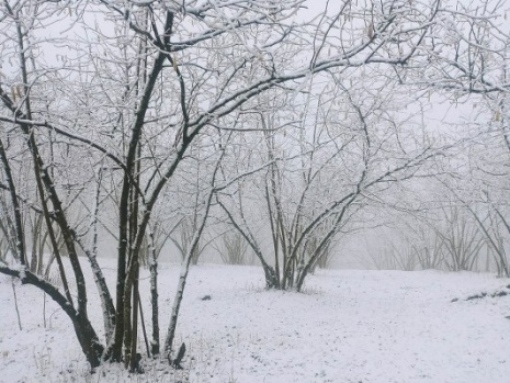 Samsun'da kar yağışı etkili oldu