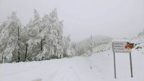 Samsun'da kar yağışı etkili oluyor