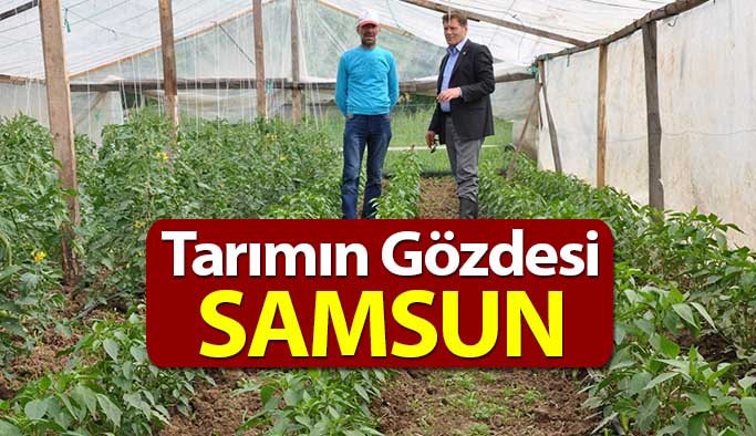 Samsun'da Tarım Ürünü Çeşitliliği Gün Geçtikçe Artıyor