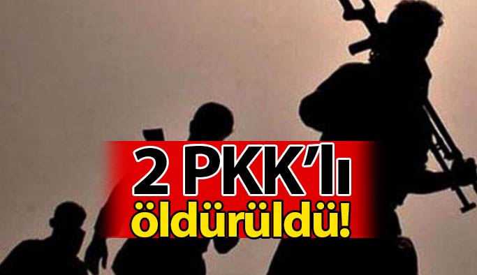 2 PKK'lı Öldürüldü!