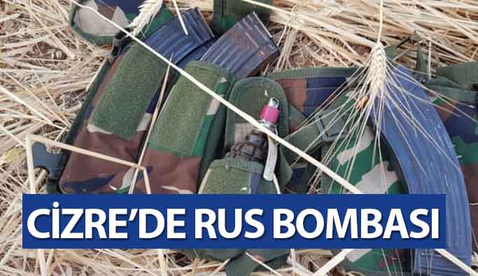 Cizre'de Yapılan Aramalarda 2 Adet Rus Yapımı El Bombası Ele Bulundu
