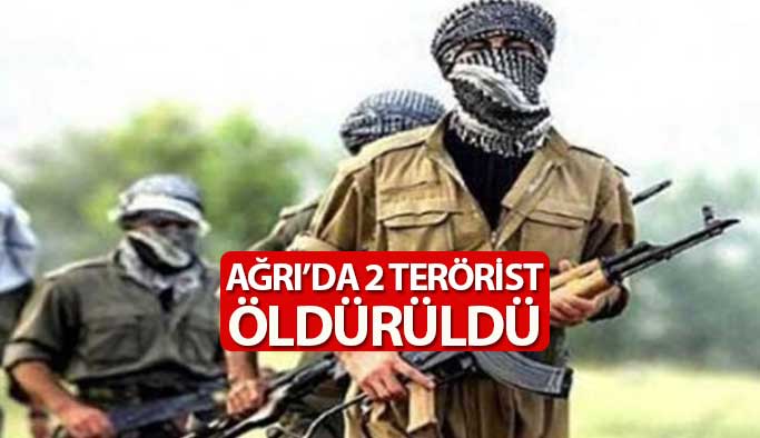 Ağrı'da 2 PKK'lı terörist etkisiz hale getirildi