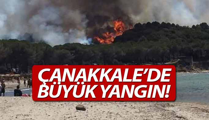 Çanakkale'de Büyük yangın