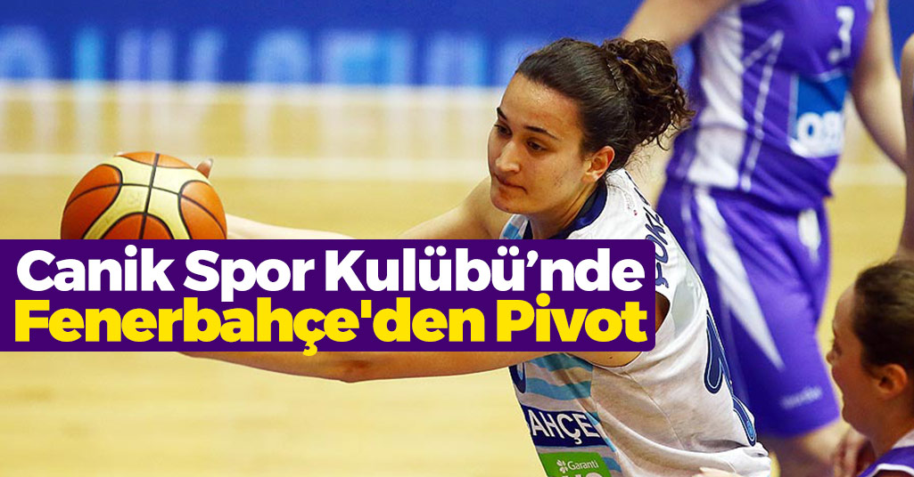 Canik'e Fenerbahçe'den Pivot