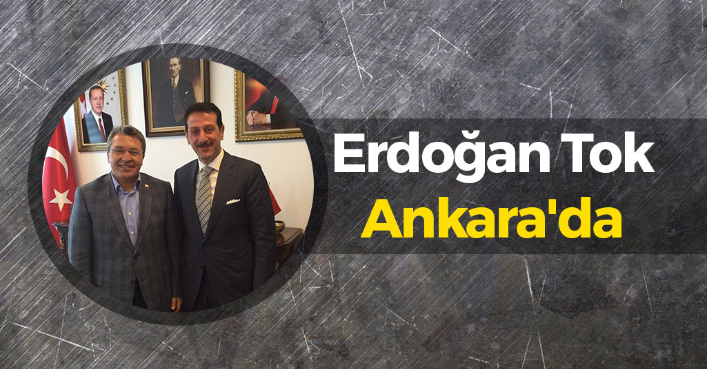 Erdoğan Tok Ankara'da