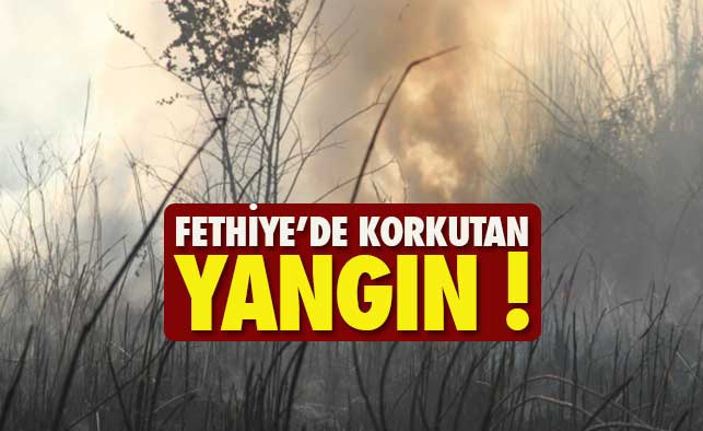 Fethiye'de korkutan yangın!