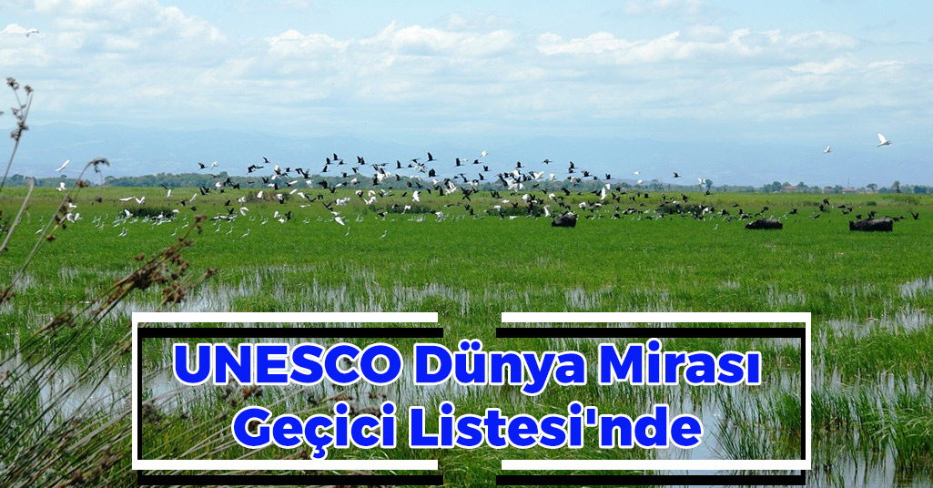 Kızılırmak Deltası UNESCO Dünya Mirası Geçici Listesi'nde
