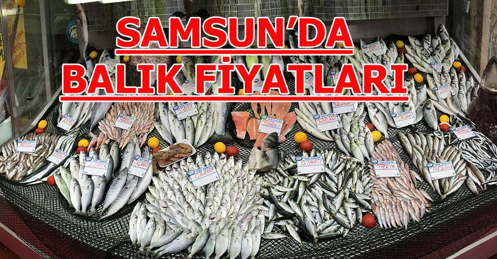 Samsun'da Balık Fiyatları