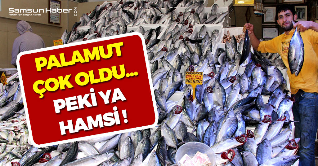 Samsun'da Balıkçılar Hem Güldü Hem Düşündüler