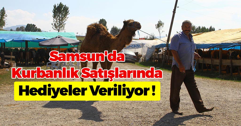 Samsun'da Kurbanlık Satışlarında Hediyeler Veriliyor !