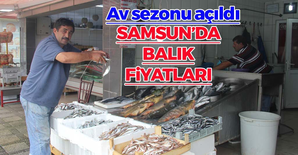 Sezon Başladı! İşte Samsun'da Balık Fiyatları