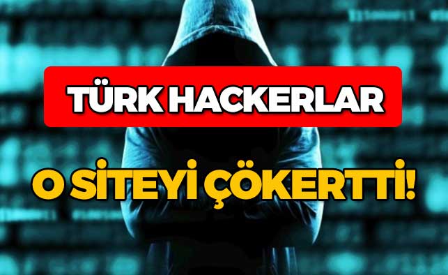 Türk hackerler Moody's'i çökertti!