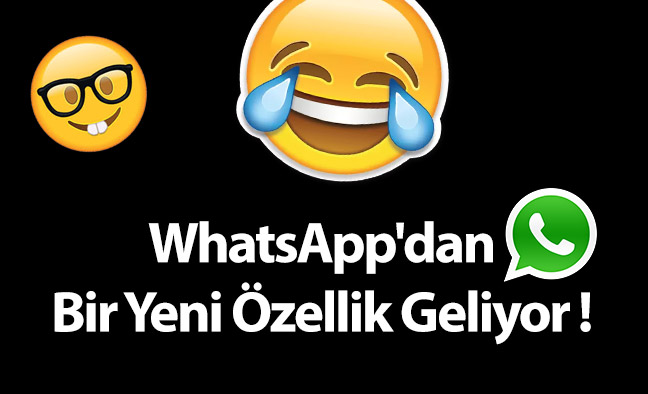 WhatsApp'dan Bir Yeni Özellik Geliyor !