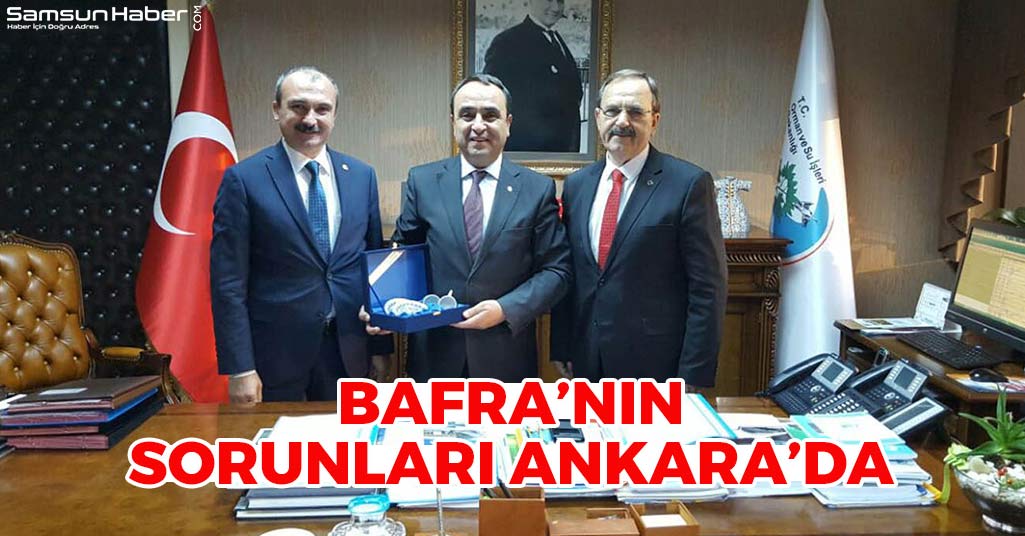 Bafra'nın Sorunları Ankara'da