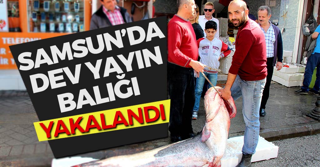 Samsun'da Dev Balık Yakalandı