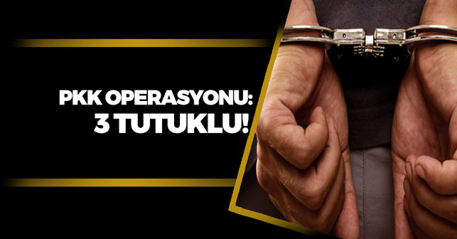 PKK Operasyonunda 3 Kişi Tutuklandı!