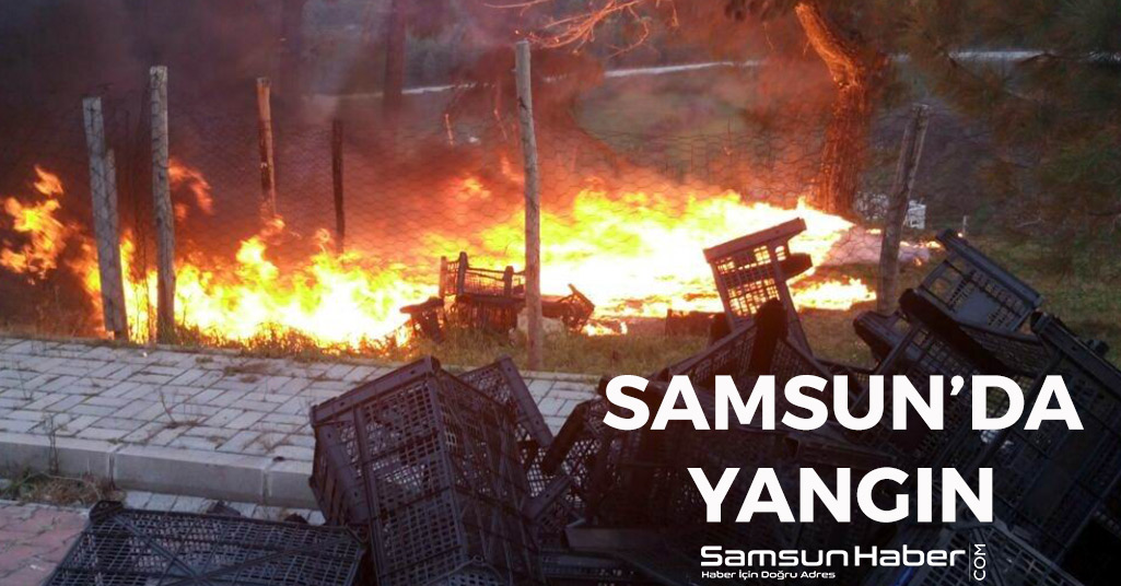 Samsun'da Çıkan Yangın Çam Ağaçlarına Zarar Verdi