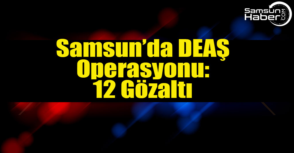 Samsun'da DEAŞ Operasyonu: 12 Gözaltı