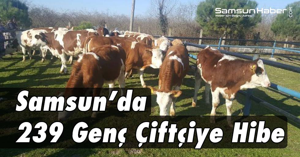 Samsun'da Genç Çiftçilere Hibe Desteği
