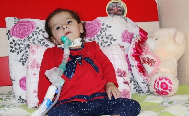 SMA hastası minik Zeynep’in ailesi yardım bekliyor