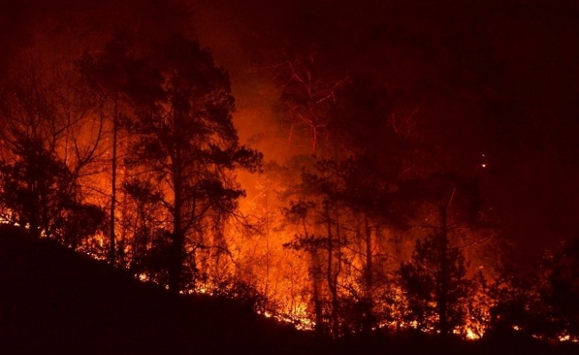 Trabzon Valisi Yücel Yavuz: “Yangında 15-20 hektar kadar bir alanın etkilendiğini düşünüyoruz”