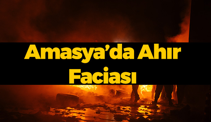 Amasya'da Ahır Faciası!