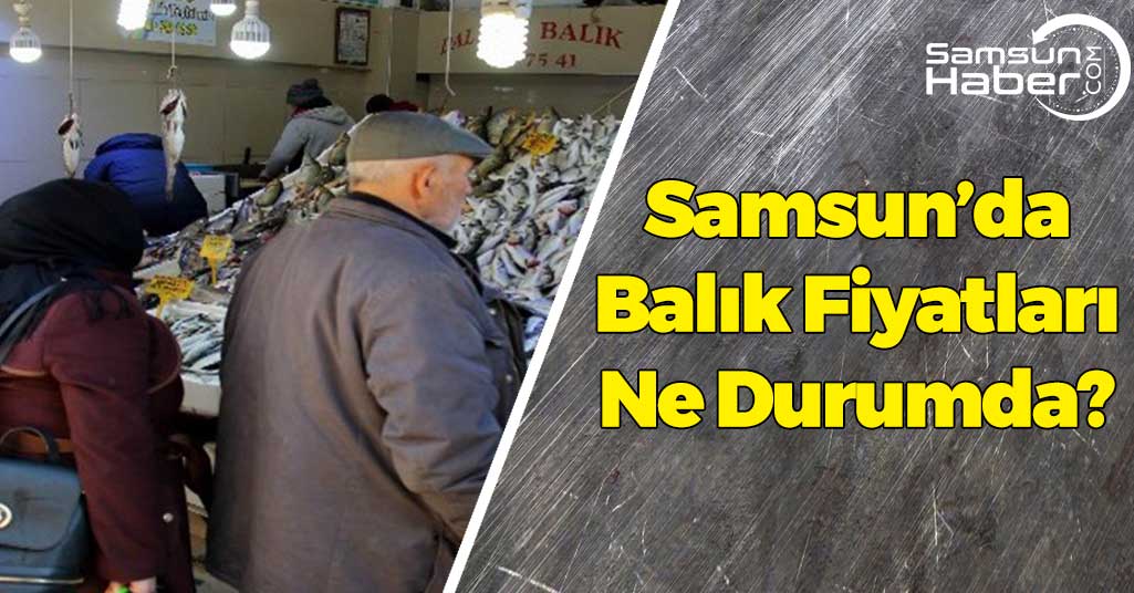 Samsun'da Balık Fiyatları Ne Durumda?