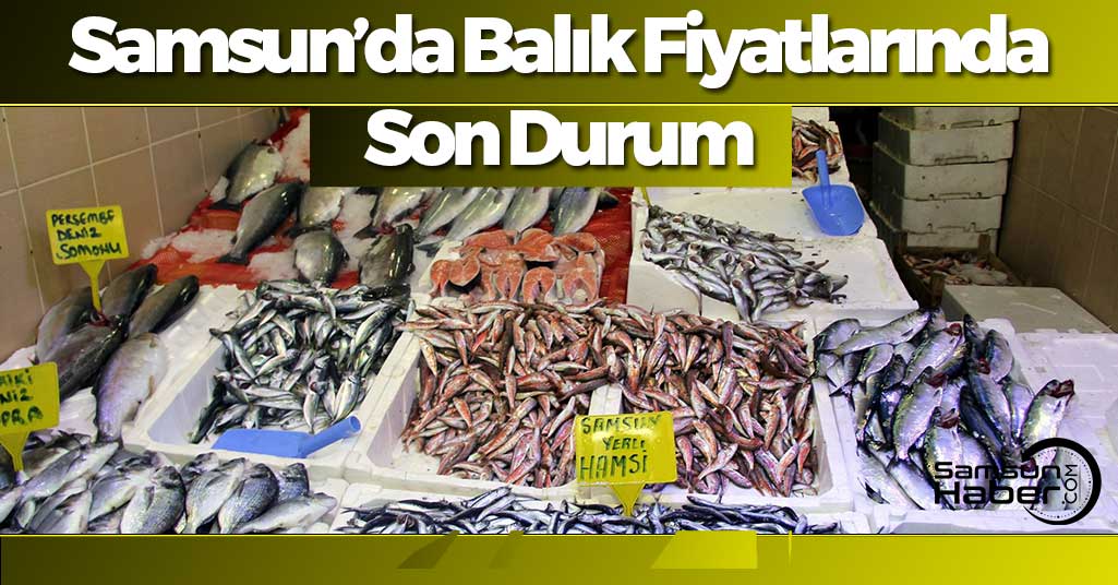 Samsun'da Balık Fiyatlarında Son Durum