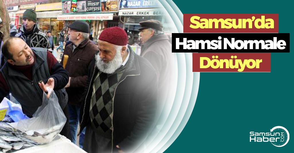 Samsun'da Hamsi Normale Dönüyor