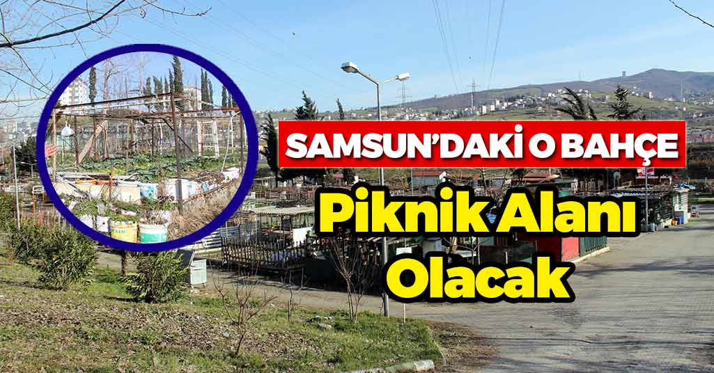 Samsun'daki O Bahçe Piknik Alanı Oluyor