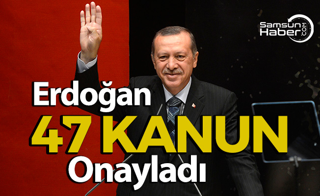 Erdoğan’ın Onayladığı Kanunlar Resmi Gazetede Yayınlandı