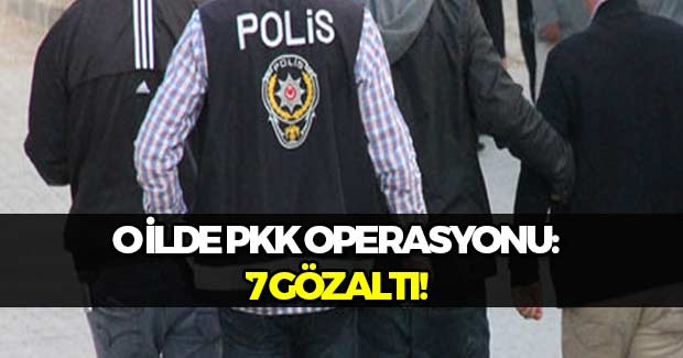 O İlde PKK Yanlısı 7 Kişi Gözaltında!