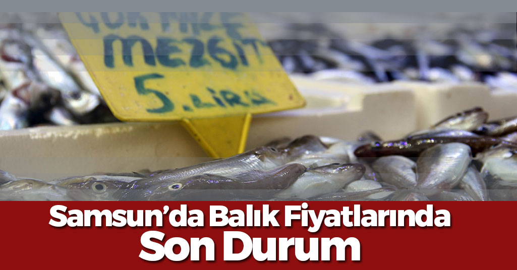 Samsun'da Balık Fiyatlarında Son Durum! Hangi Balık Kaç TL?