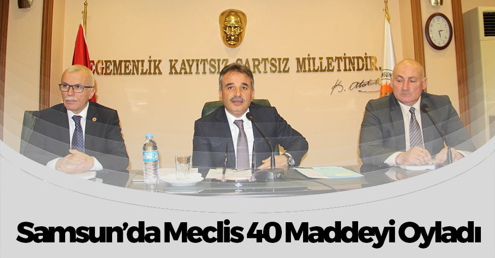 Samsun Meclis 40 Maddeyi Oyladı