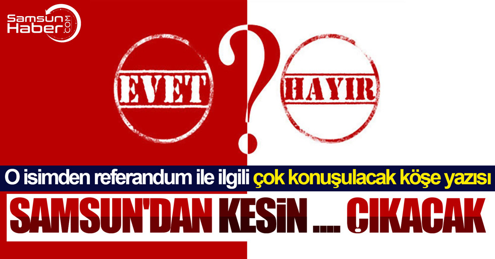 BirGün Gazetesi yazarı Aydın: Samsun'dan Evet çıkacak