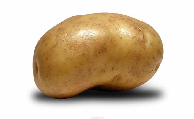 Mars’ta patates yetiştirmek mümkün