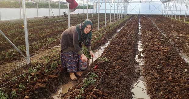 Samsun'da çiftçiye büyük destek