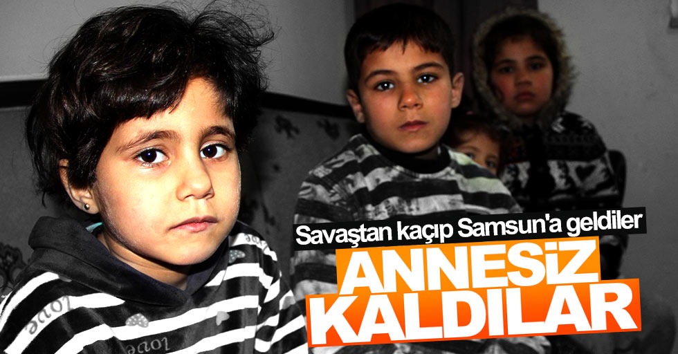 Savaştan kaçıp Samsun'a gelen 4 çocuk annesi kaldı