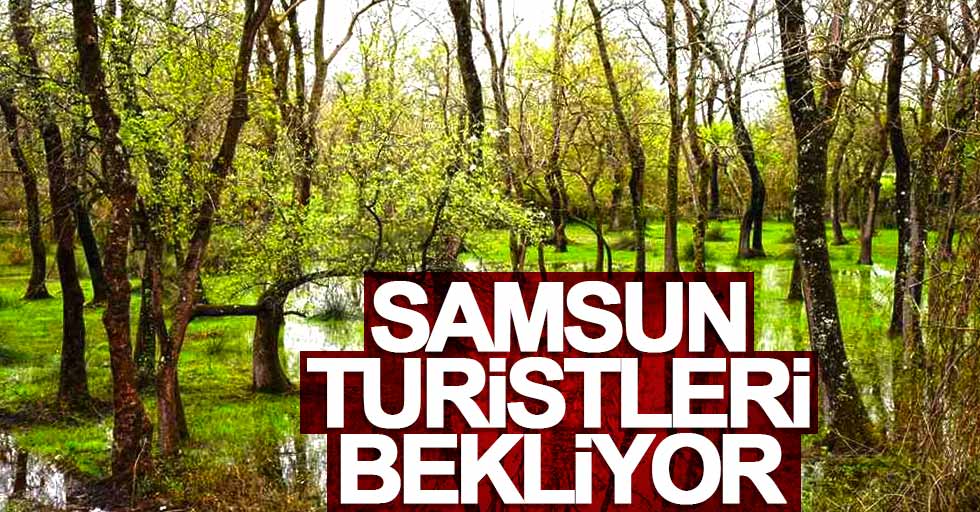 Yusuf Ziya Yılmaz: Turistleri Samsun'a bekliyoruz