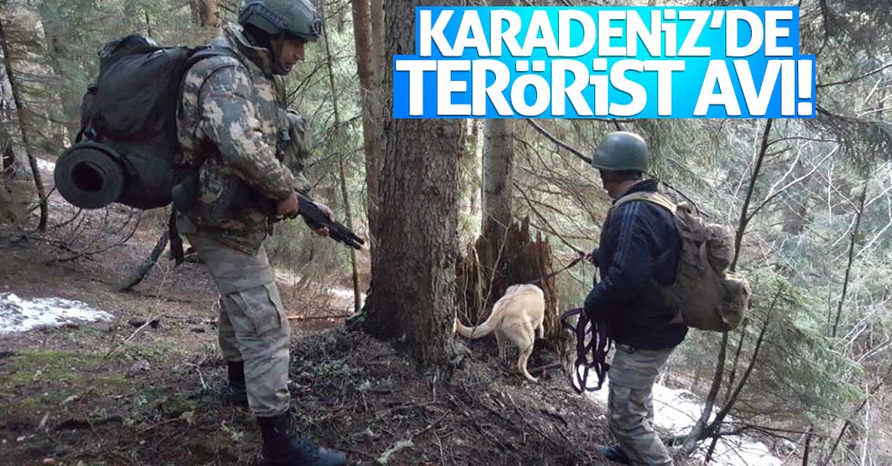 Karadeniz'de terör operasyonu