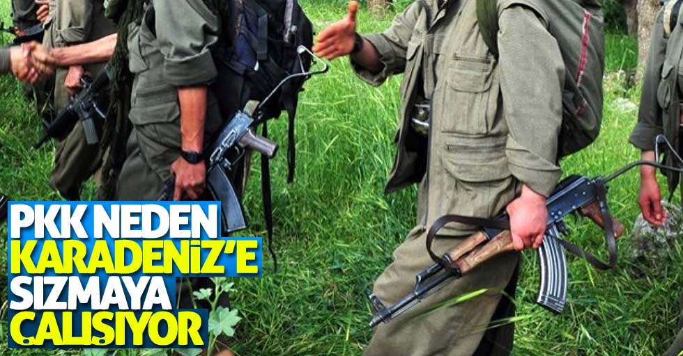 PKK neden Karadeniz'e sızmak için çalışıyor