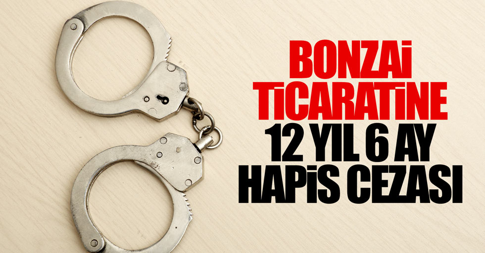 Samsun'da bonzai ticaretine hapis cezası