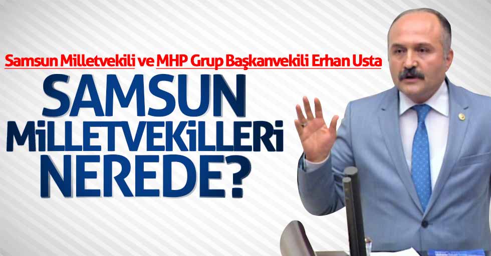 MHP'li Usta Samsun Milletvekillerine seslendi: Neredesiniz