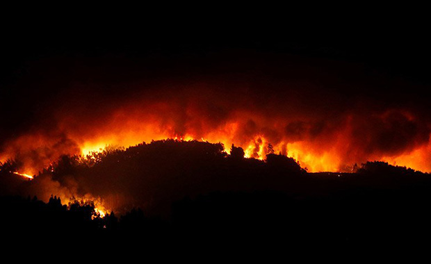 Portekiz'de orman yangını! 43 kişi hayatını kaybetti