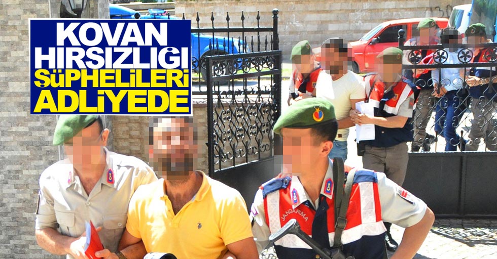 Samsun'da arı kovanı hırsızlığı şüphelileri tutuklandı