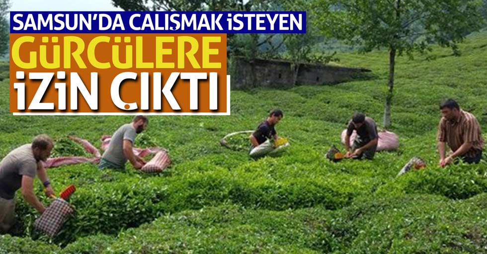 Gürcülere Türkiye'de çalışabilme izni