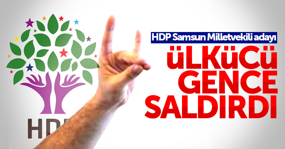 HDP Samsun Milletvekili adayı, Samsunlu ülkücüye saldırdı