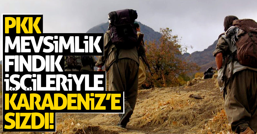 PKK mevsimlik fındık işçileriyle Karadeniz'e sızdı!